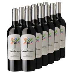 PUGLIA IGT ROSSO (12 bottles)