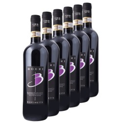 Barbera d'Asti DOCG Superiore Martinette (6 bottles)